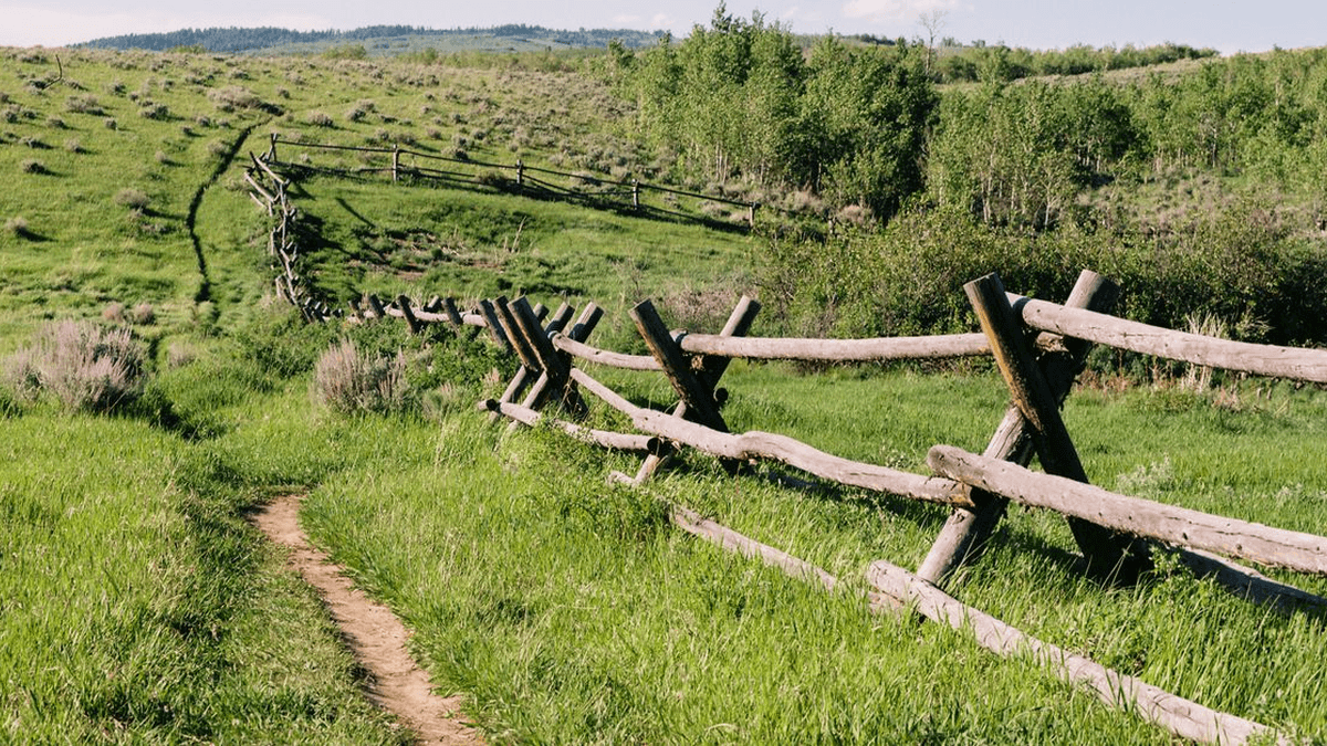 Conservation easements: what they are and why the IRS is watching